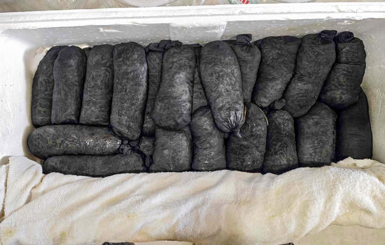 Kayseri’de kaçak sülük operasyonu