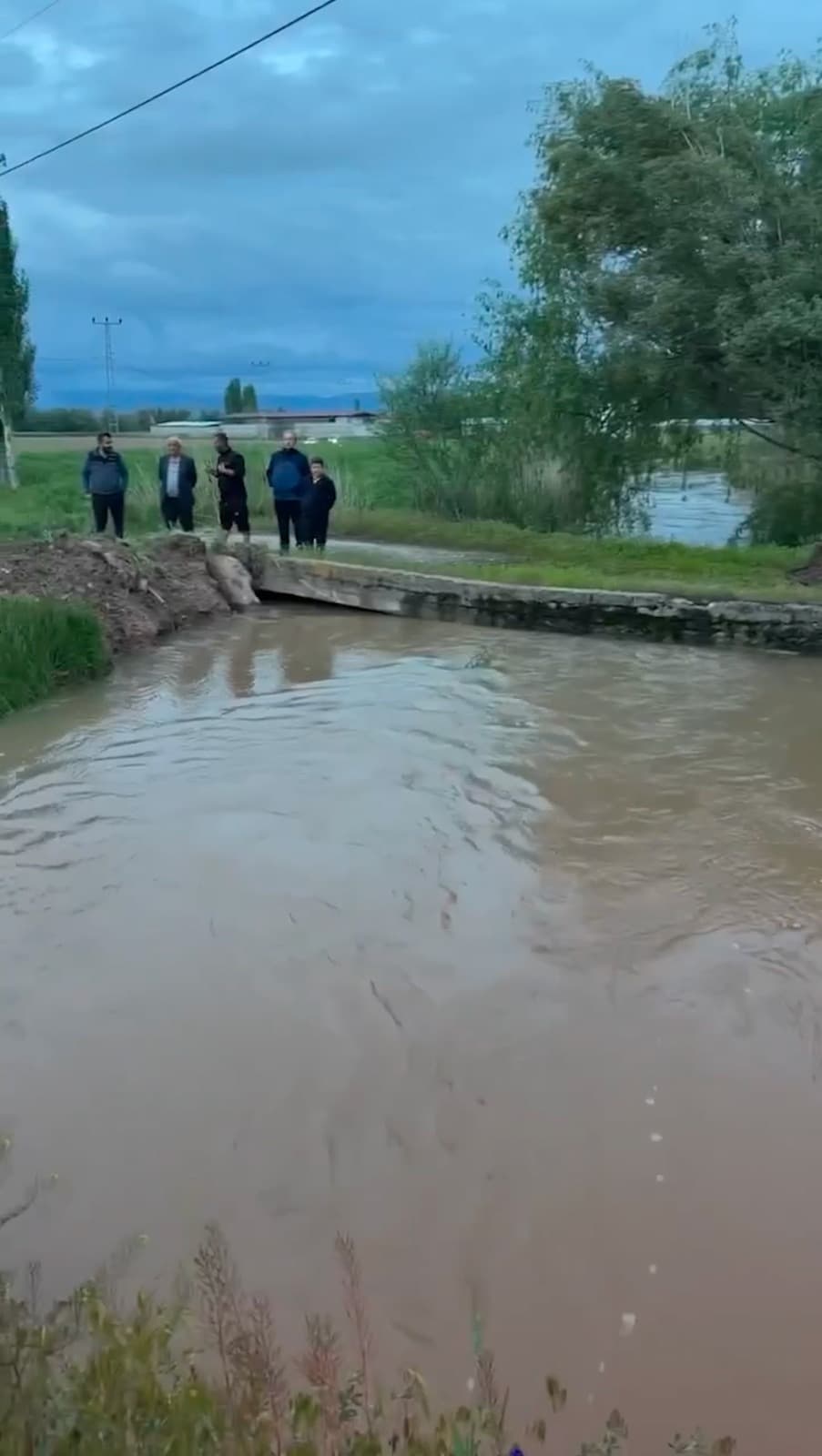 Sarıoğlan Barajı taştı