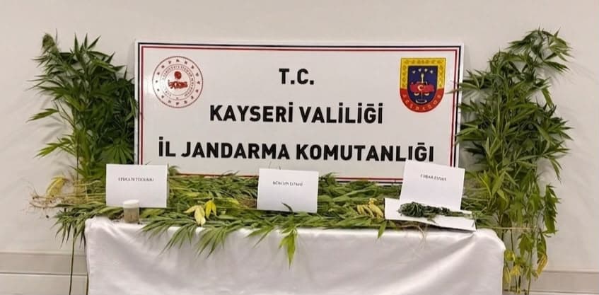 Kayseri’de kenevir operasyonu; 2 şahıs yakalandı