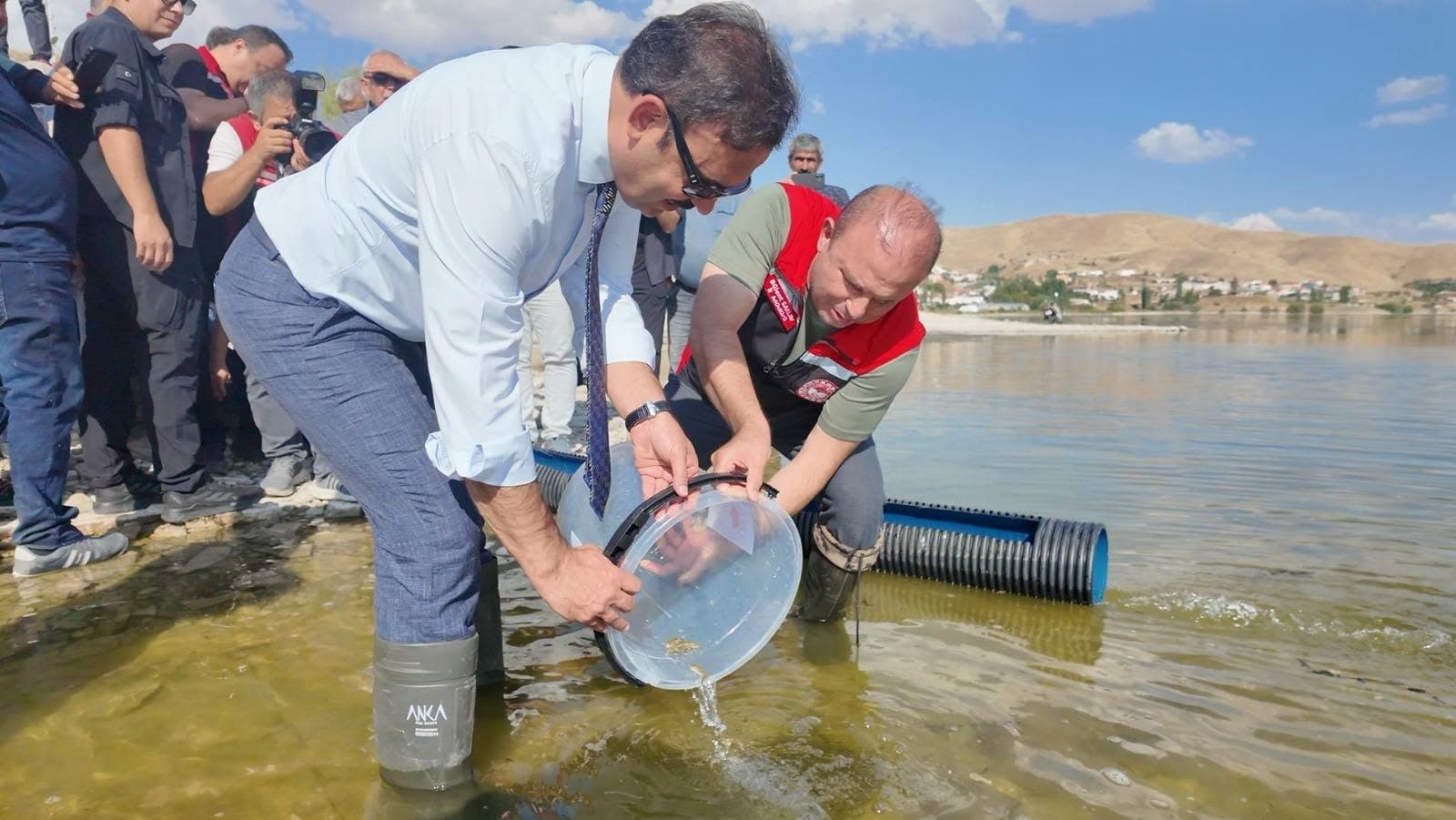 Kayseri’de yavru sazanlar suyla buluştu