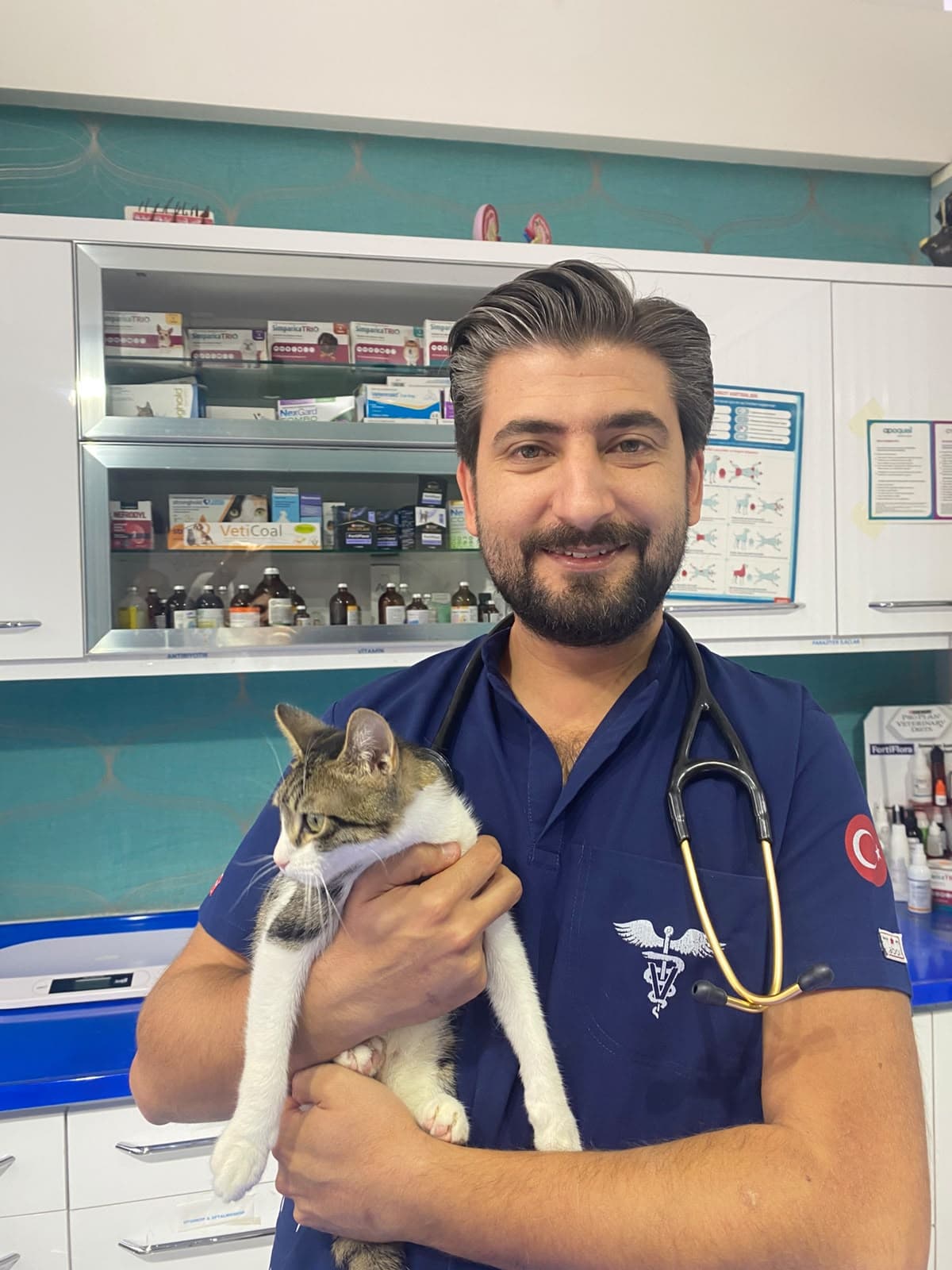 Uzman Veteriner Kocataş, “Sokak hayvanlarına bir kap su ve bir kap mama vererek destek olabiliriz”